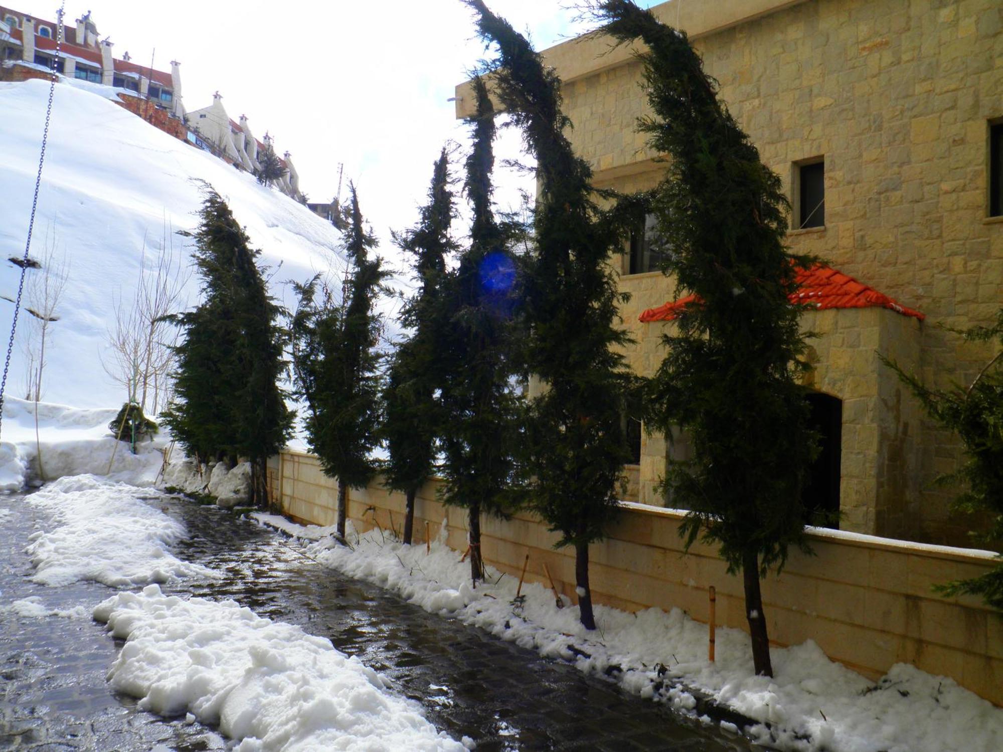 Stone Chalets Faraya Exterior foto