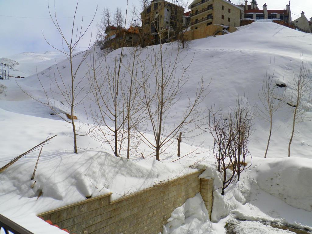 Stone Chalets Faraya Quarto foto